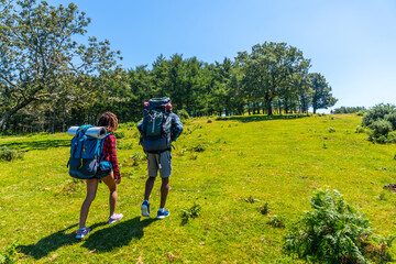 Hikers walking up green hill on sunny day