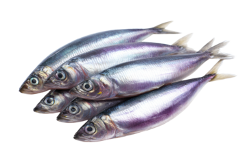 A bunch of fish are stacked on top of each other