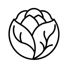 Cabbage vector icon illustration, fresh organic cabbage outline drawing, healthy food design element