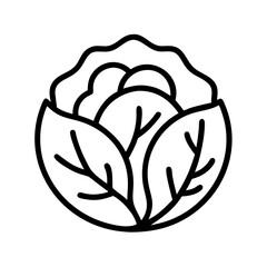Cabbage vector illustration outline drawing fresh vegetable healthy food ingredient for recipes and diet