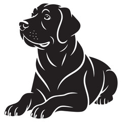 Fototapeta premium A sleek black labrador retriever is lying down, its dark coat contrasting against the bright white background, showcasing its loyal and friendly nature isolated on white background