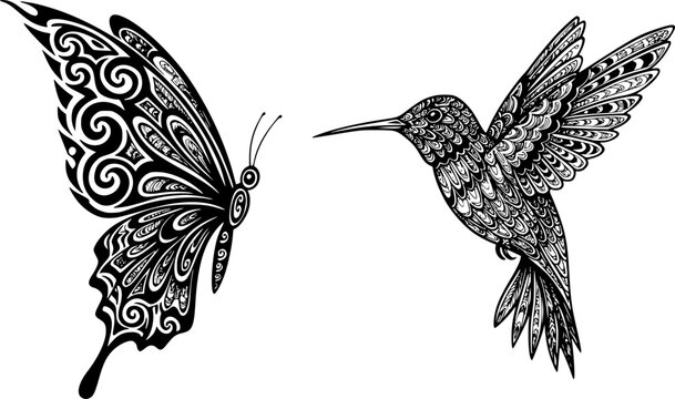 Hand drawn zentangle tribal flying butterfly, Hummingbird