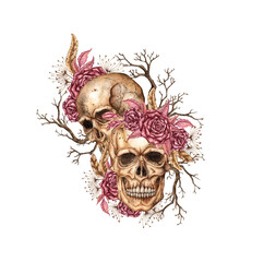 Skulls two with dark red roses, dried flowers, feathers and branches watercolor illustration. Bones in gothic style. Day of Dead, Halloween, Dia de los muertos. Isolated. Symbolism of life and death.
