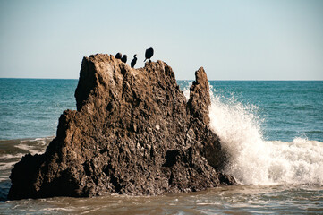 Crashing Ocean Waves 2