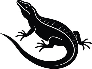 lizard isolated on white background