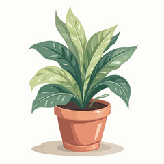 plant in the pot design