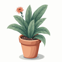 plant in the pot design