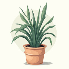 plant in the pot design