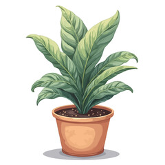 plant in the pot design