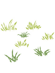 fresh rosemary isolated on white background. Grass vector