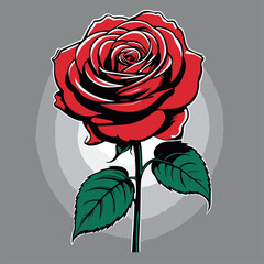 vector rose flower illustration for graphic design