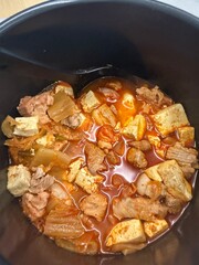 Hearty Braised Pork Kimchi Stew with Tofu and Vegetables