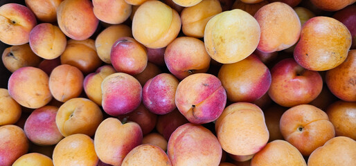 Top view of a vibrant pile of fresh ripe apricots with a reddish blush, displayed in bulk for sale. The colorful skin texture highlights their natural ripeness and juicy appeal.