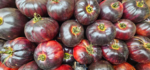 High-Resolution Close-Up of Indigo Rose Tomatoes with Deep Purple and Red Tones

