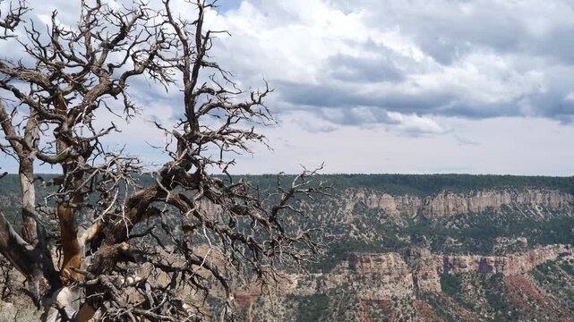 Arizona 1307 Timelapse Crazy Jug Point Grand Canyon National Park
