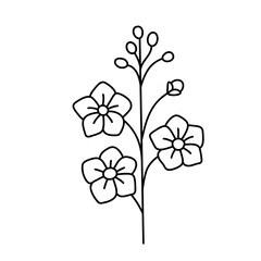 Doodle vector flower contour symbol isolated on a transparent background
