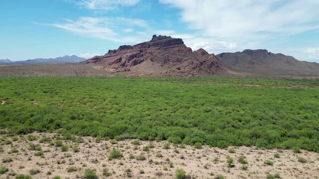 Aerial view of the Red Mountain rises over Arizona desert with lush foreground in Gold Canyon, USA