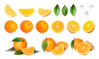 Fresh oranges, green leaves and blossoms isolated on white, set