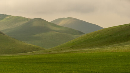 Rolling green hills under a cloudy sky, showcasing the beauty of nature with soft light...