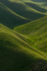 Rolling green hills bathed in soft sunlight create a serene landscape, showcasing the beauty of...