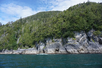 Coastal ocean and forested shoreline in Haida Gwaii, British Columbia