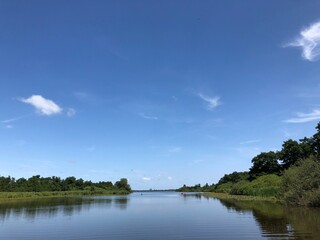Summer landscape with lake
