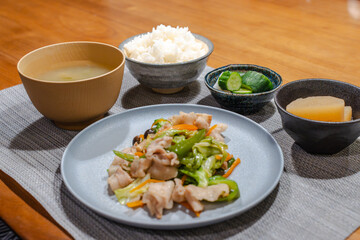 Japanese Dinner / 和食の夕食