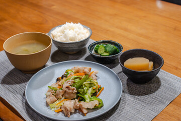 Japanese Dinner / 和食の夕食