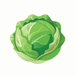 cabbage isolated on white background