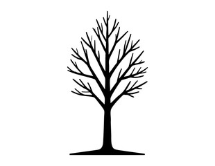 Obraz premium Bare tree black leafless tree stands alone against a white plain background in winter.