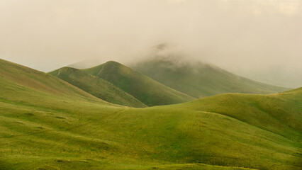 Rolling green hills shrouded in mist, with soft contours and gentle slopes, create a serene landscape, inviting exploration and appreciation of nature's beauty and tranquility