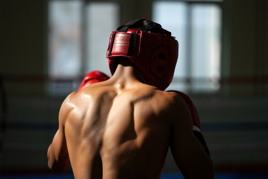A dedicated boxer practices his technique in a gym, showcasing strength as the evening light highlights his muscular back and focused posture. Generative AI. - Powered by Adobe