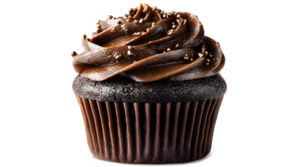 Delicious Chocolate Cupcake isolated on a white background