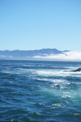Fototapeta premium Teal Sea and Volcanic Rock – Haida Gwaii Coastal Landscape