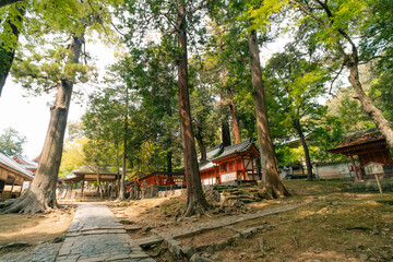 Japan, Nara - 2 may 2025 Nara Park and Todaiji Temple, Todaiji Complex
