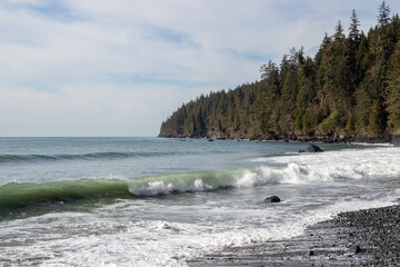 Waves breaking on a tree lined beach