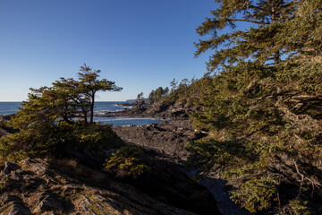 Rugged coast of Vancouver Island
