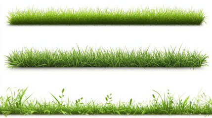 Green Grass Borders Set Isolated White Background With Gradient Mesh, Vector Illustratio 