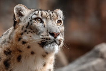 Fototapeta premium capture stunning portraits of top endangered animals emphasizing their unique features and expressions against