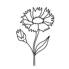 Doodle vector flower contour symbol isolated on a transparent background