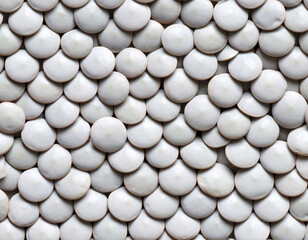 Layered Pattern of Flat Ivory Circles Background