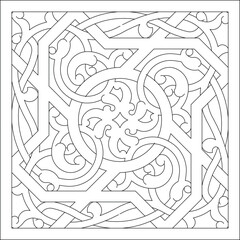 Intricate Geometric and Organic Intertwined Pattern