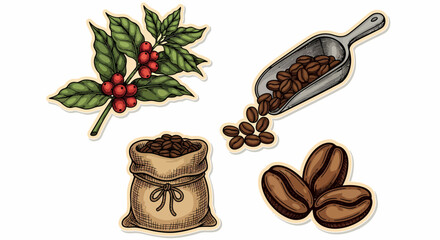 Hand drawn vector illustration of coffee beans with scoop, sack, plant and cherries in coffee beans art sketch black vector for branding use