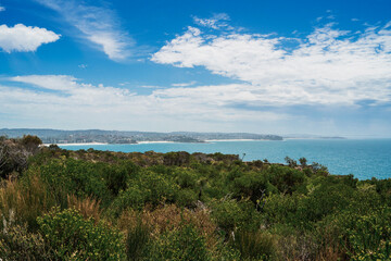 Sydney, Australia - 26 January 2025 : View of Manly fromthe top of Shelly beach