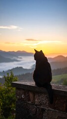 Silhouette cat at sunrise mountain view