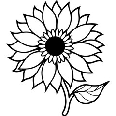 Fototapeta premium black and white flower
