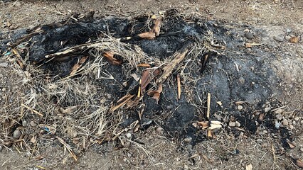 Close-Up of Burned Organic Crop Residues and Charred Soil Surface for Traditional Composting and Soil Fertility Practices