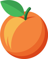 vector illustration of an orange