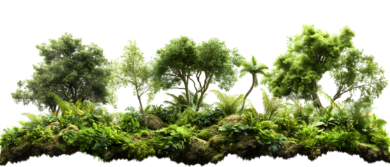 Lush Green Forest Scene Depicting Trees and Dense Vegetation Against Transparent Background