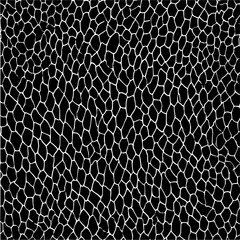Irregular polygonal shapes create a cellular like pattern in black and white abstract design art